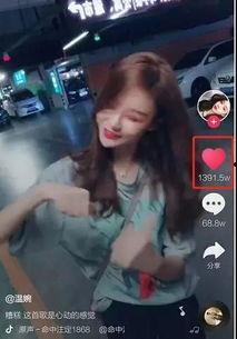 网红爆料乐仔视频大全下载